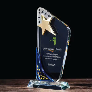 Crystal Star Appreciation Trophy