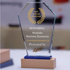 Innovation Crystal Award - Wooden Base